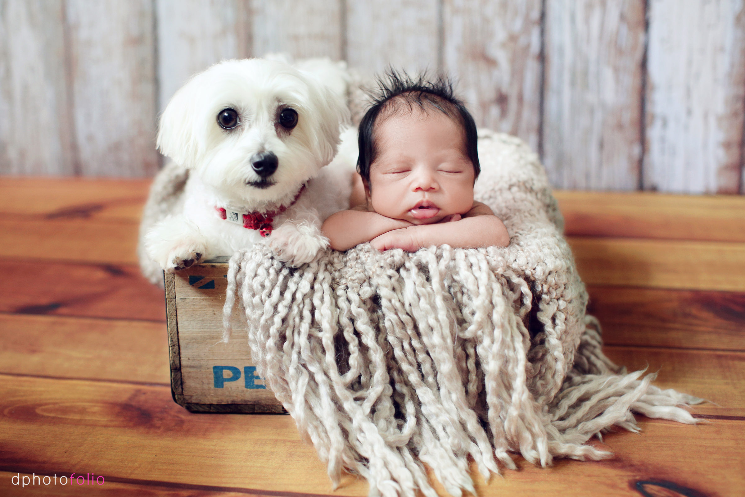 newborn-photography-11