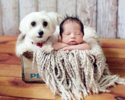 newborn-photography-11