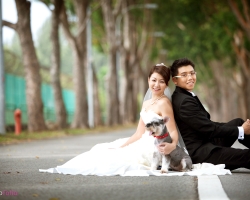 pre-wedding photography