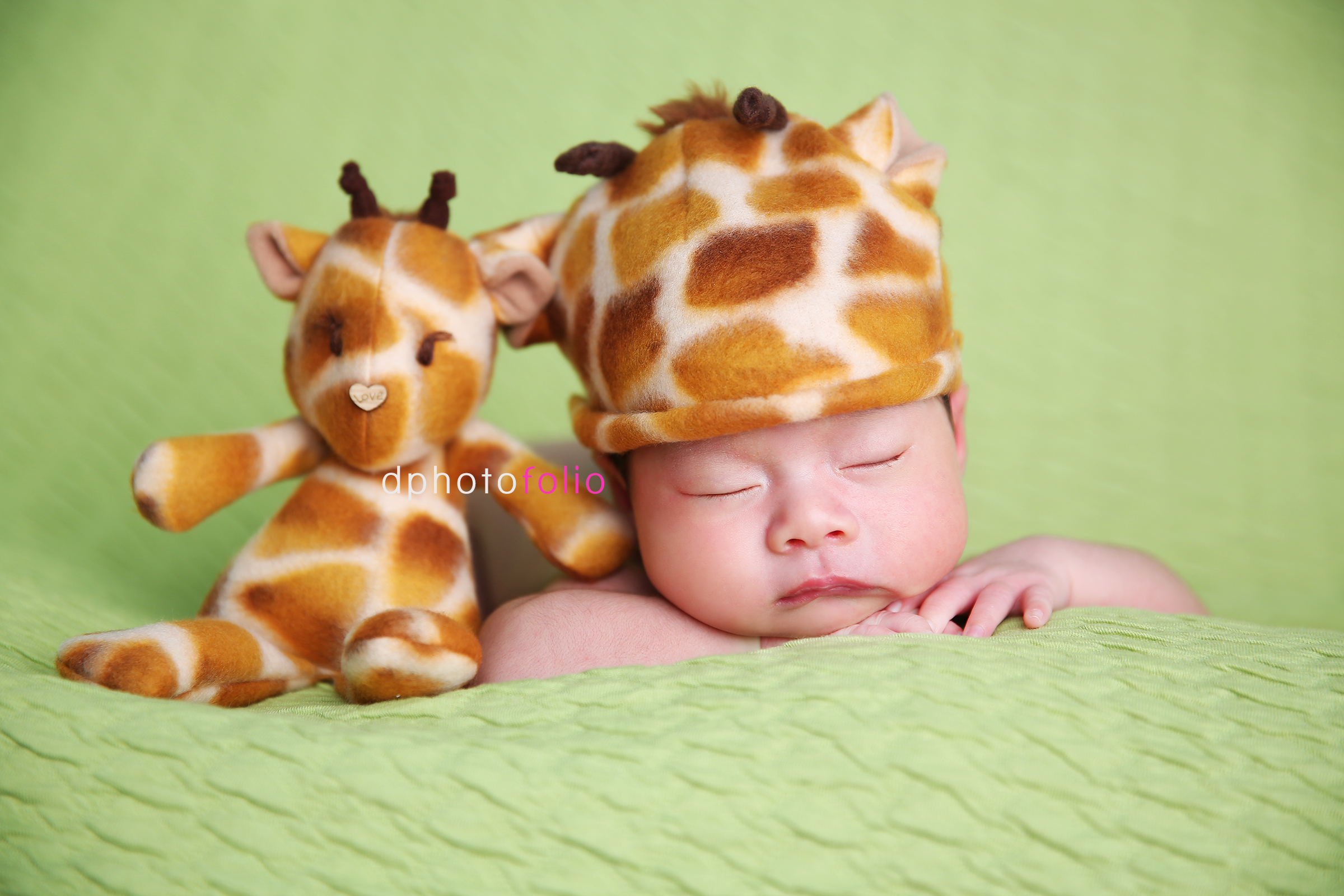 safari newborn